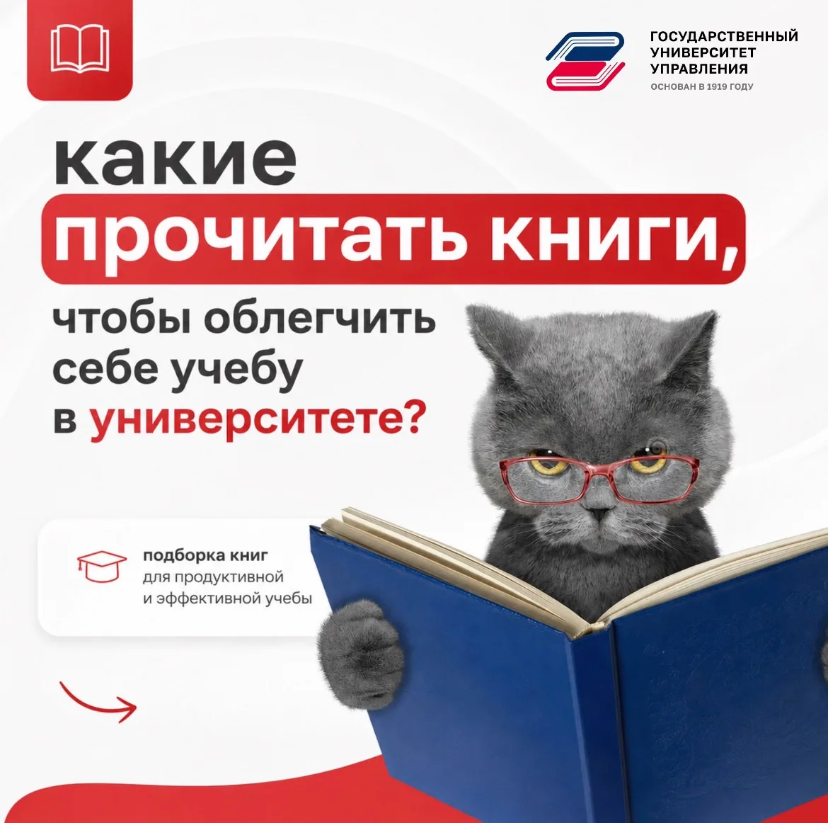 Незаезженная подборка 📚