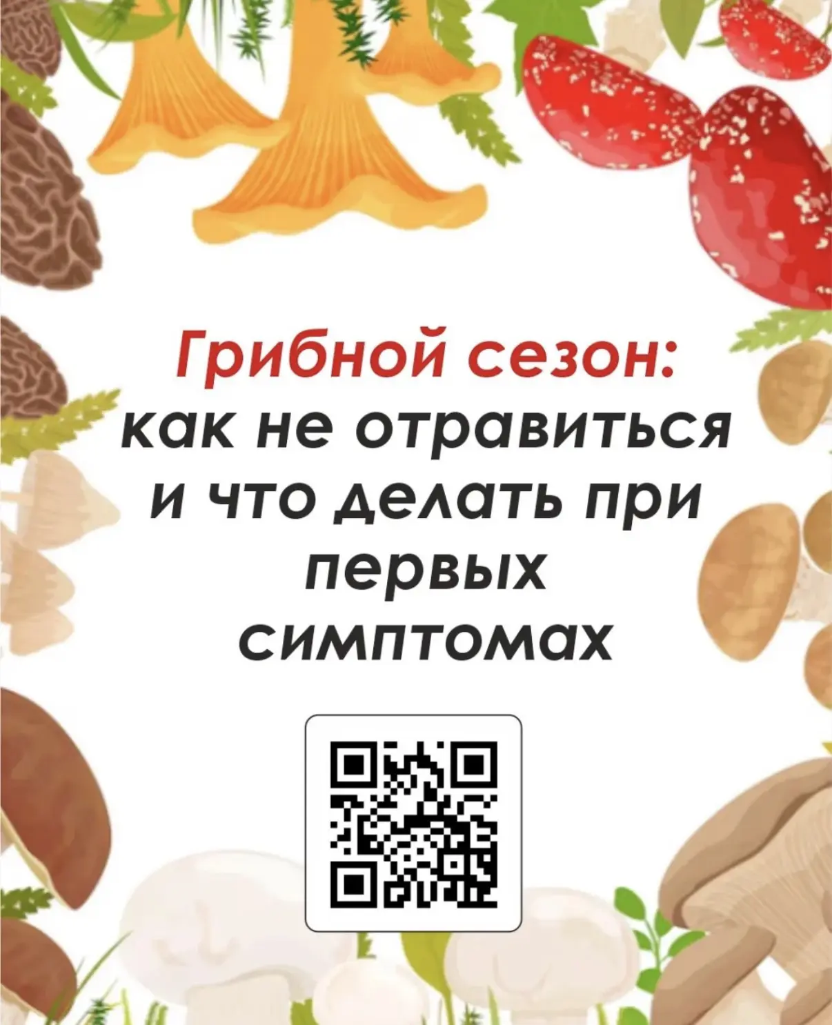 🍄‍Грибной сезон: советы по безопасности и действия при первых признаках отравления

Каждый год в Ха