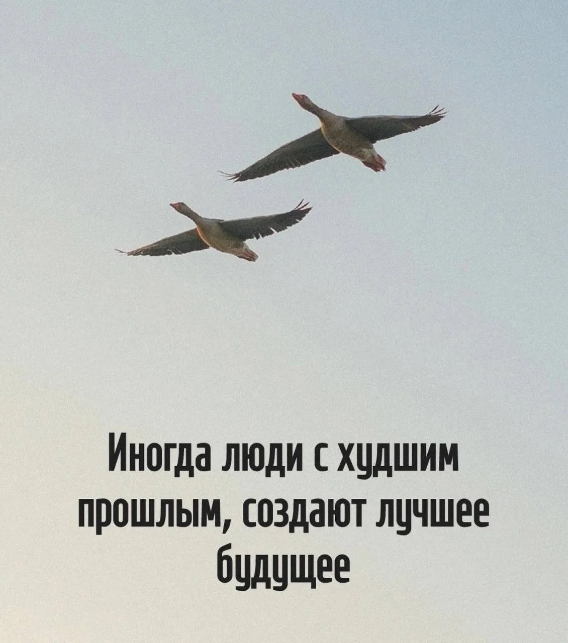 Цитаты в MAX 👉 Подписывайтесь