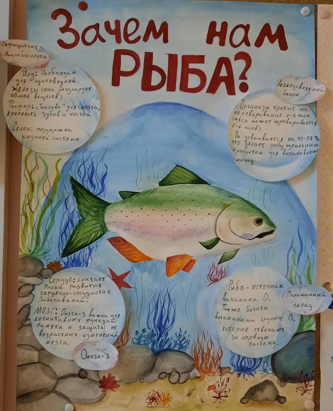 🐠В апреле в нашей школе для учащихся 4-11 классов проходил конкурс плакатов «Тайны Золотой Рыбки».  