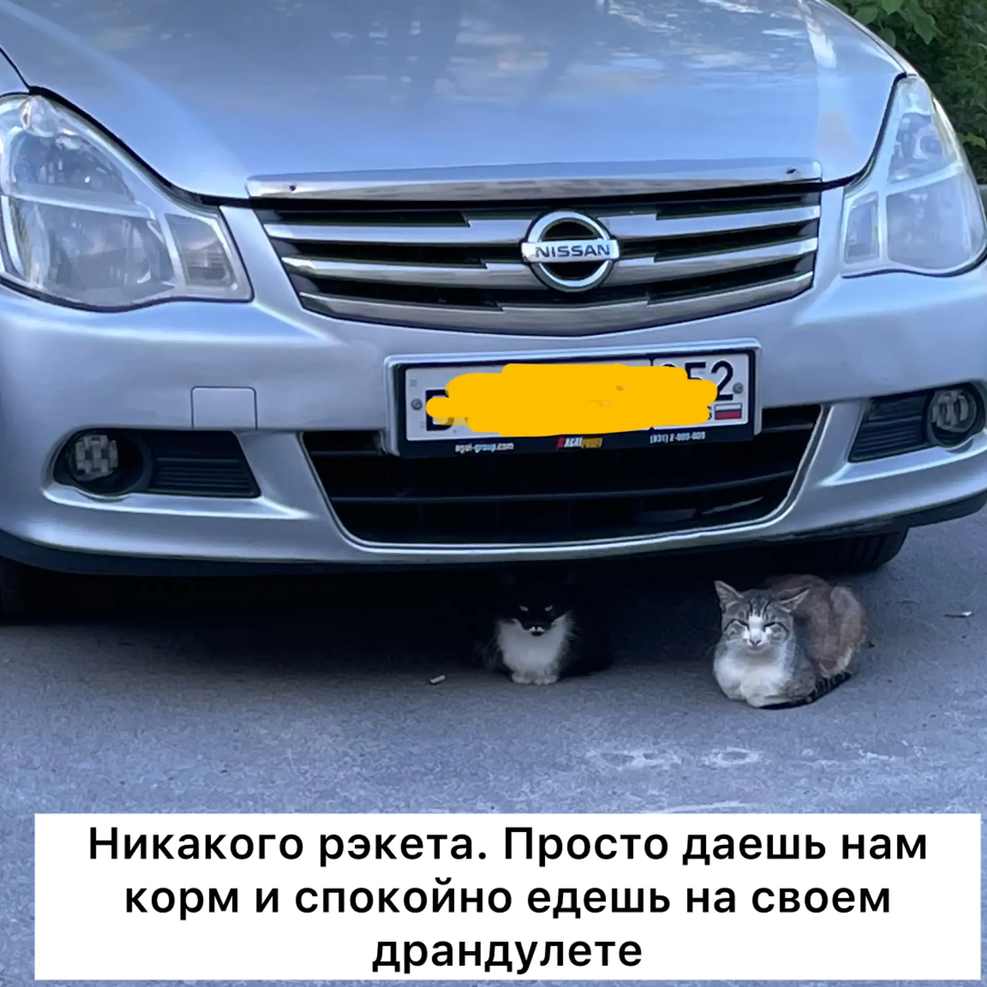 Иди иди пешком. Эти полезно😼