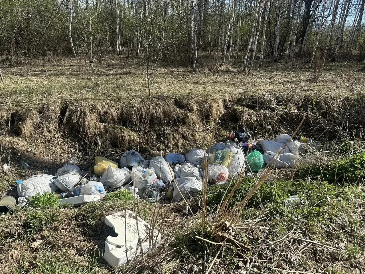 ⚡По требованию Усть-Коксинской районной прокуратуры ликвидирована свалка на территории района 
 
Про