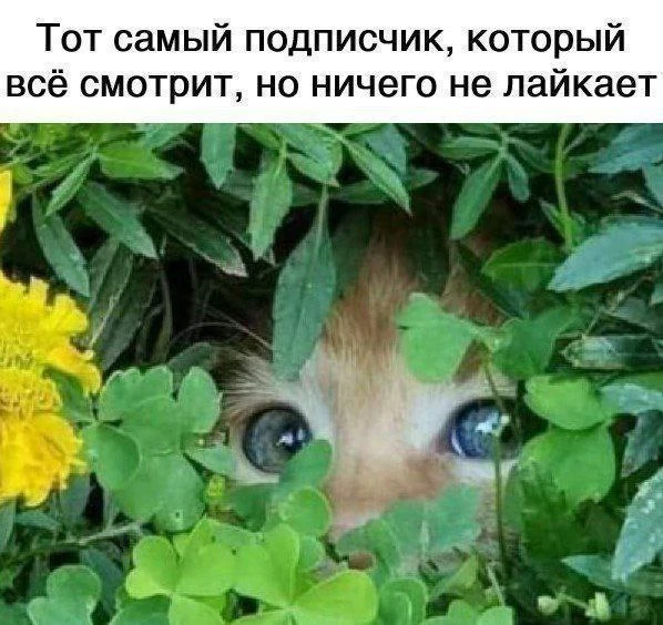 А мы видим все 🧐
