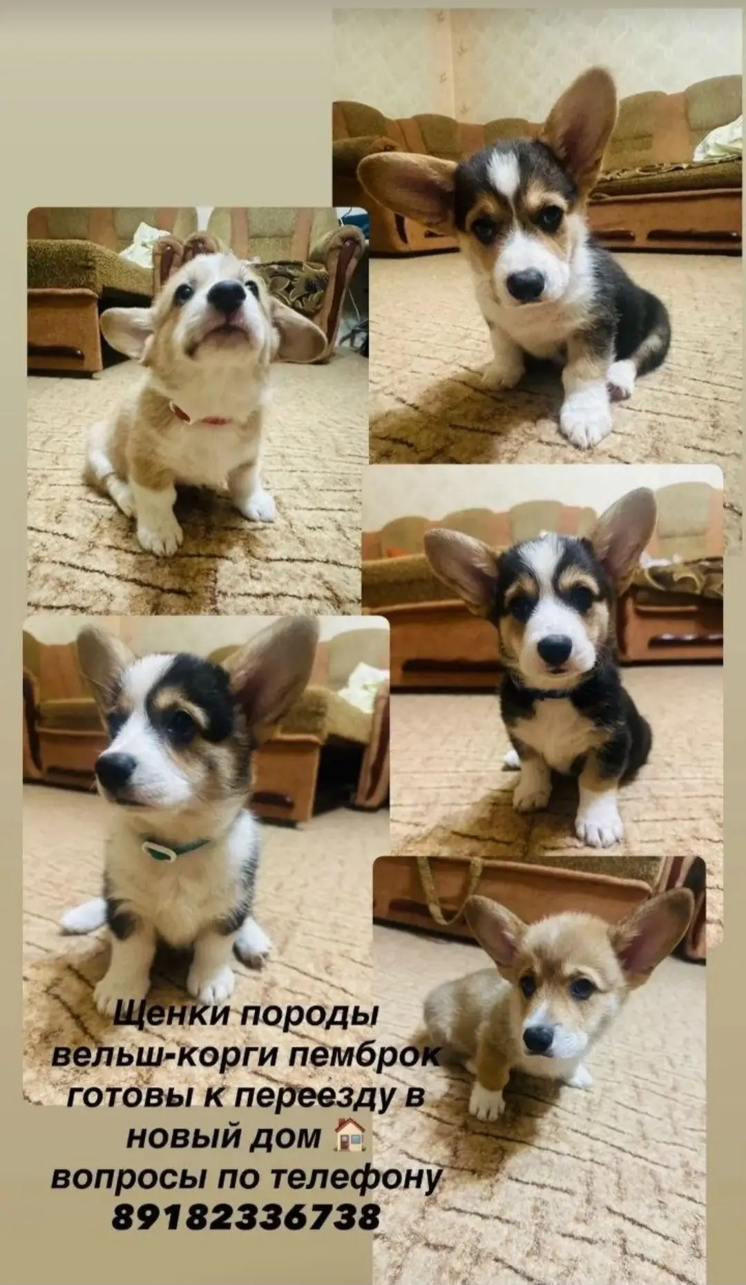 Фото