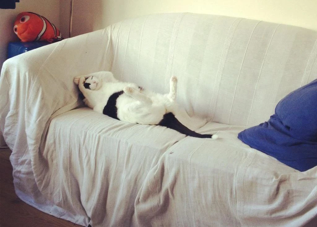 🛌 5 упражнений, которые можно делать, не вставая с кровати