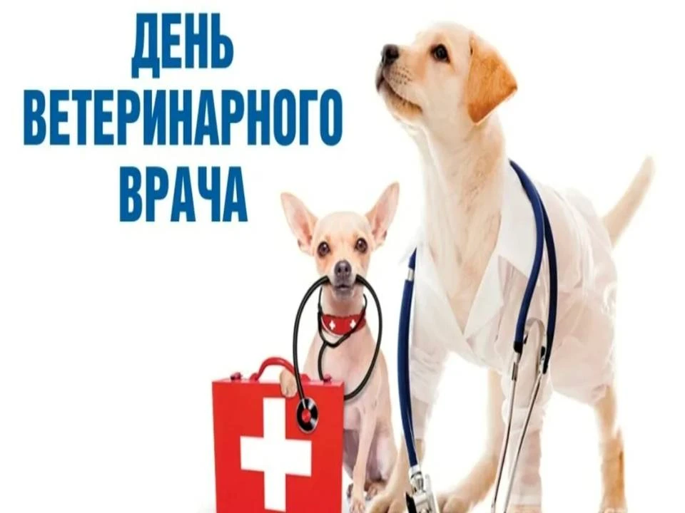 Сегодня в России отмечают День ветеринарного работника!