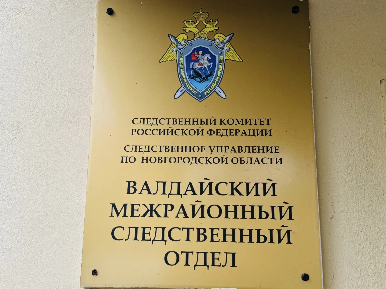 В Новгородской области вынесен приговор водителю автопогрузчика, по вине которого погиб...