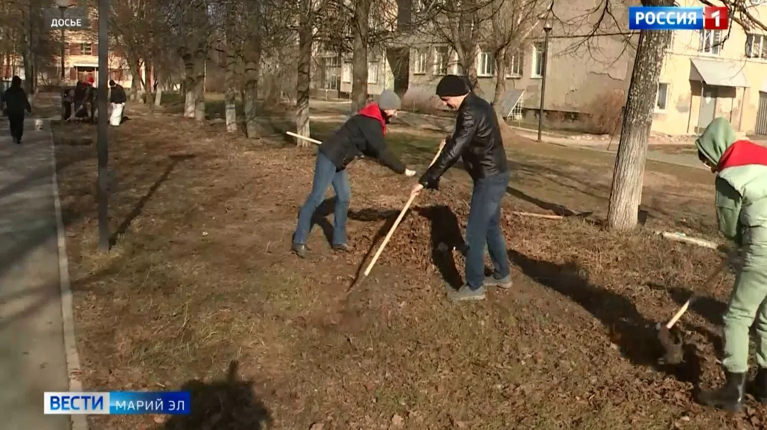 Жителей Йошкар-Олы приглашают на субботник в Сосновую рощу