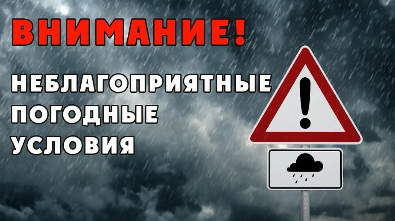 📡По данным Волгоградского центра по гидрометеорологии и мониторингу окружающей среды в...