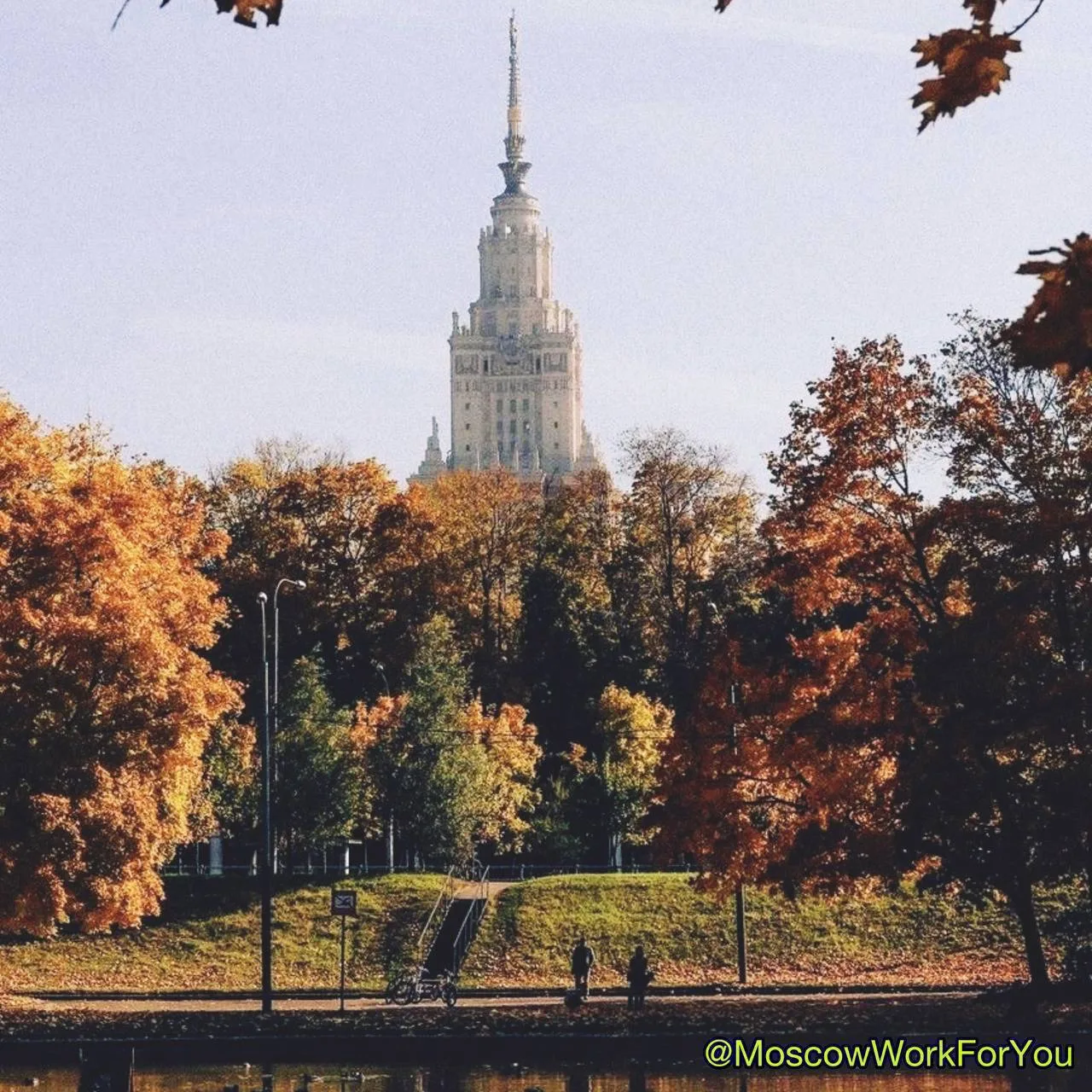 #Администратор в ветеринарную клинику (от 59 300 до 63 600 ₽)