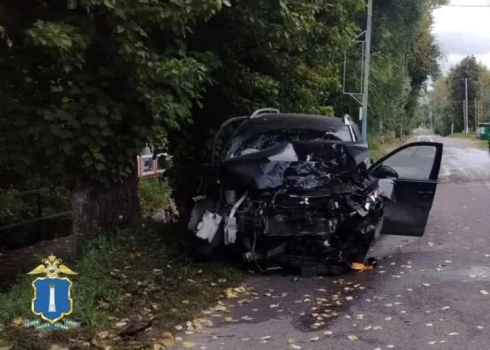 🔥В Сенгилее ночью произошло ДТП: кроссовер слетел с трассы и столкнулся с деревом.