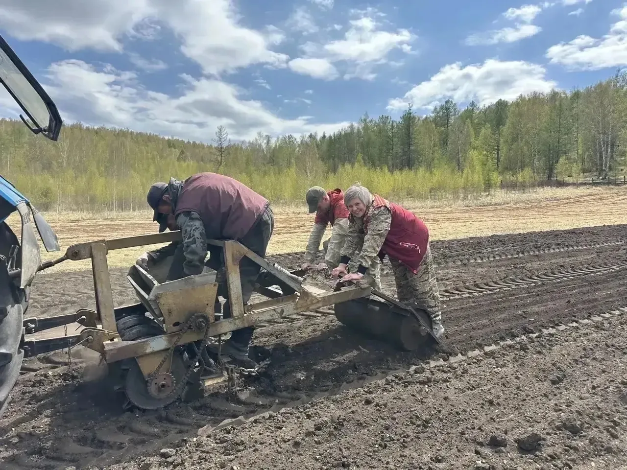 🌲‎30 кг. семян сосны высеяли в питомнике Туимского лесничества. ‎В Хакасии началась лесная посевная 