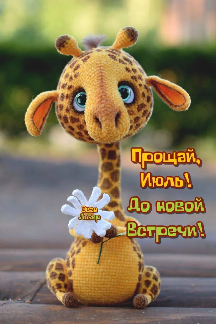 Последний день июля ☀️

💌 Открытки в МАХ – Подписаться