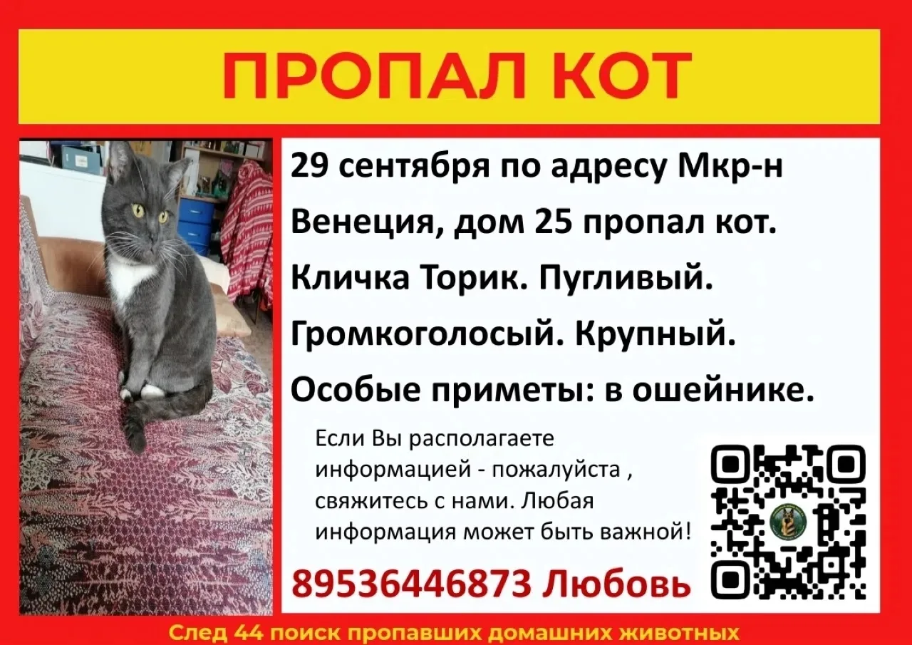 https://max.ru/channel_dtpkostroma