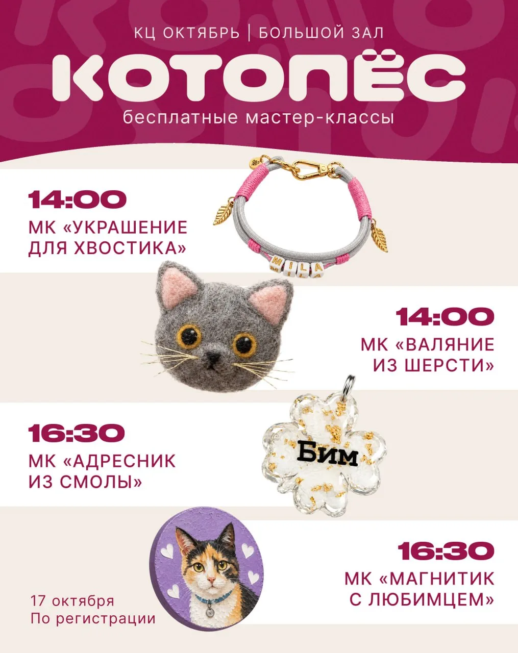 Мастер-классы благотворительного фестиваля «Котопёс»!
