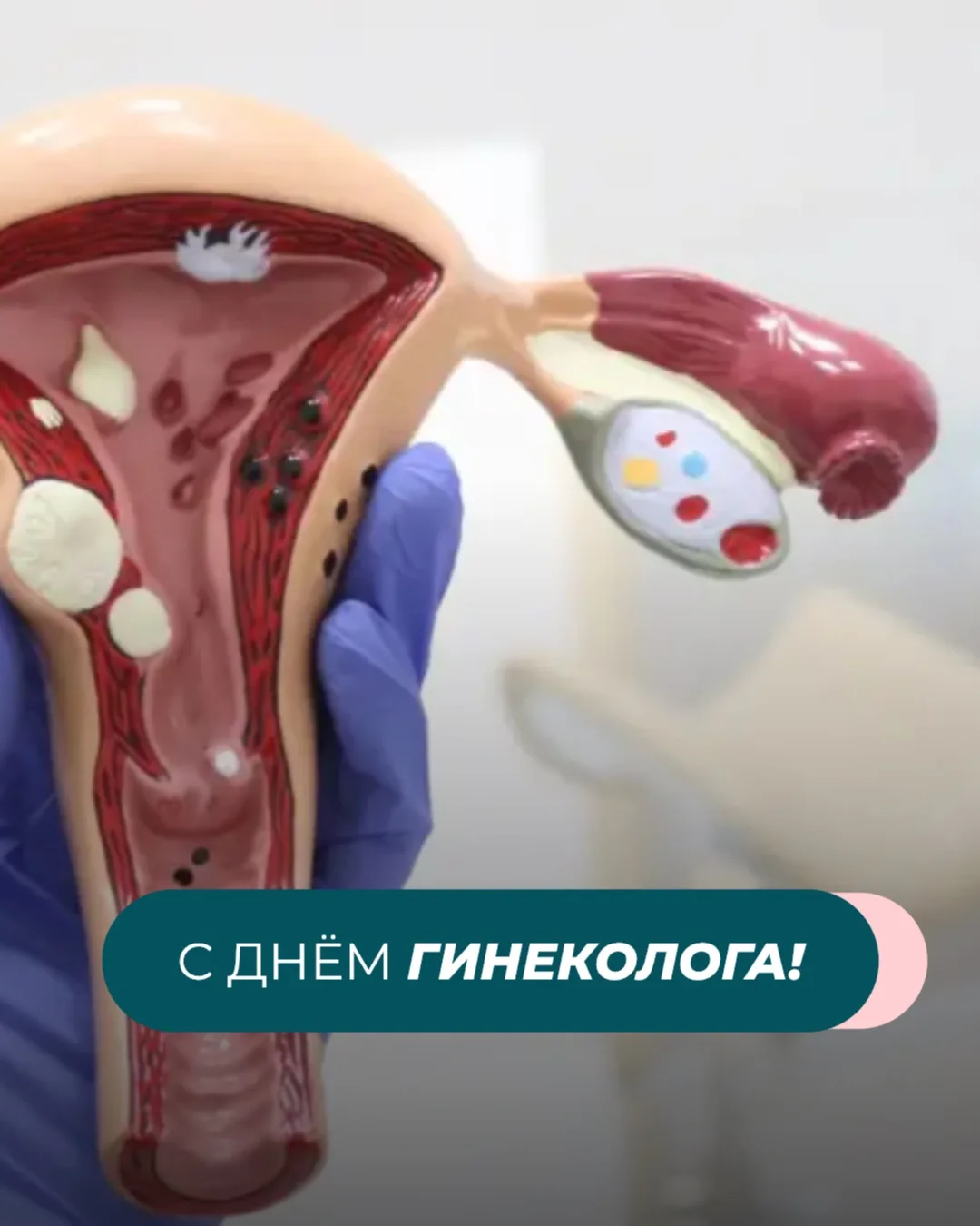 Сегодня праздник у тех, кто знает о нас всё... даже то, что мы скрываем от подруг 😄

С Днём гинекол