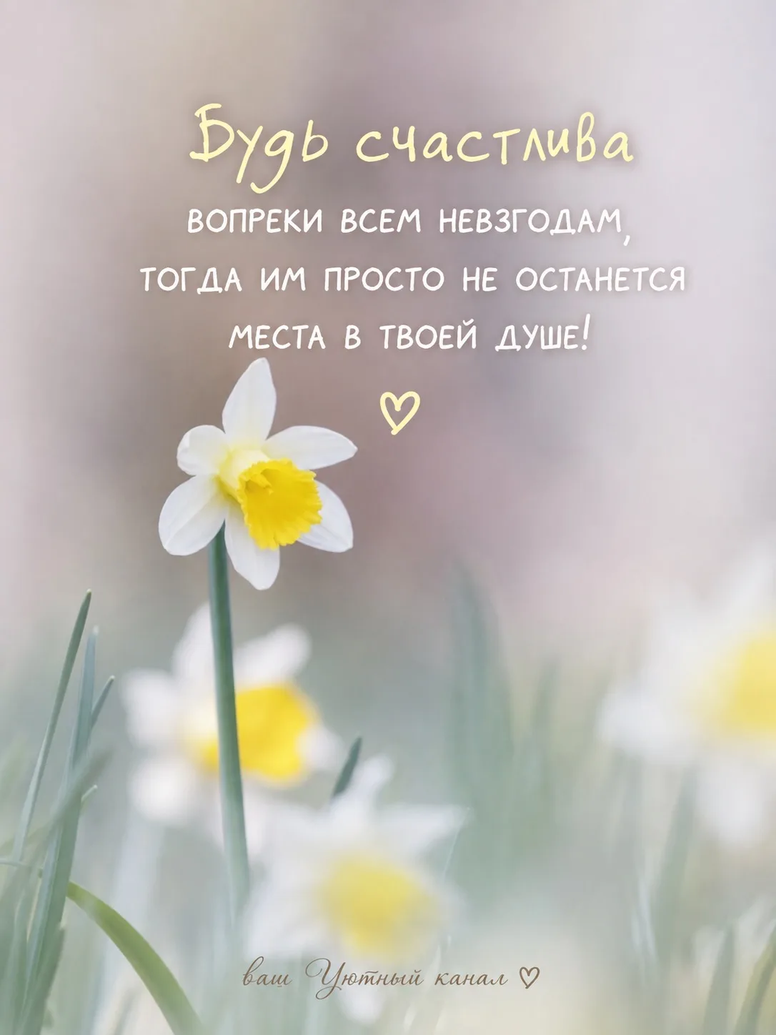 🌿Вам #УтреннееПослание

Сегодня разрешите себе быть счастливой просто так. Не за что-то, не потом, 