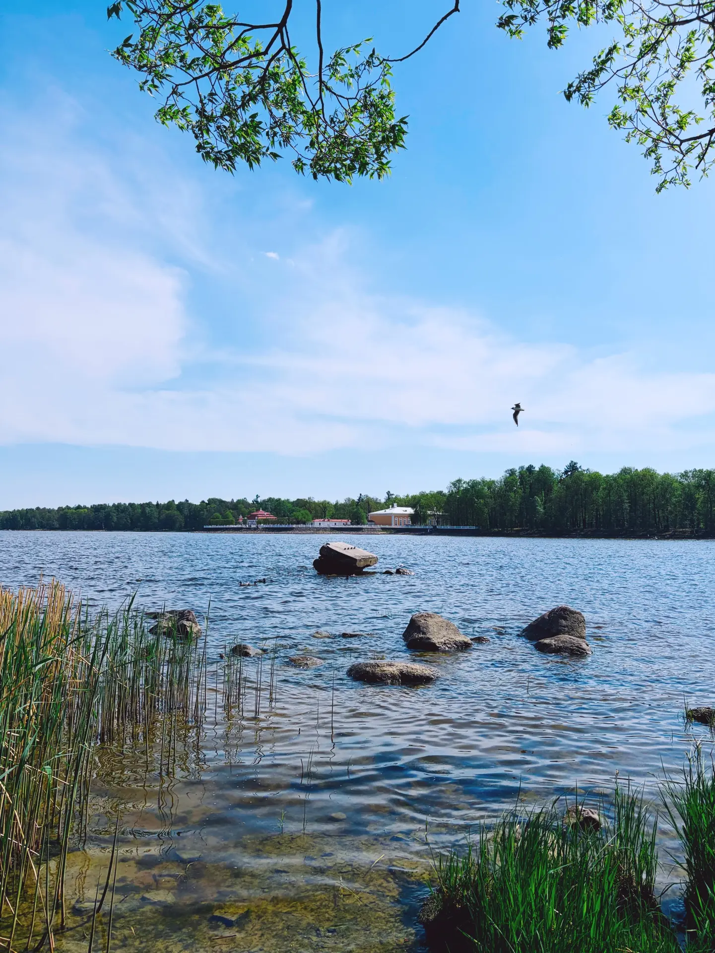 📸Делюсь живописными местами 🌿Сегодня +28-30 градусов тепла было.☀️настоящая жара🔥но ...
