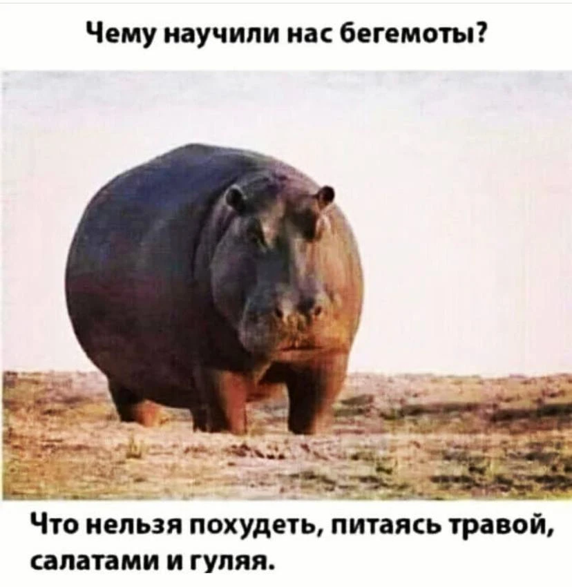 Злючка