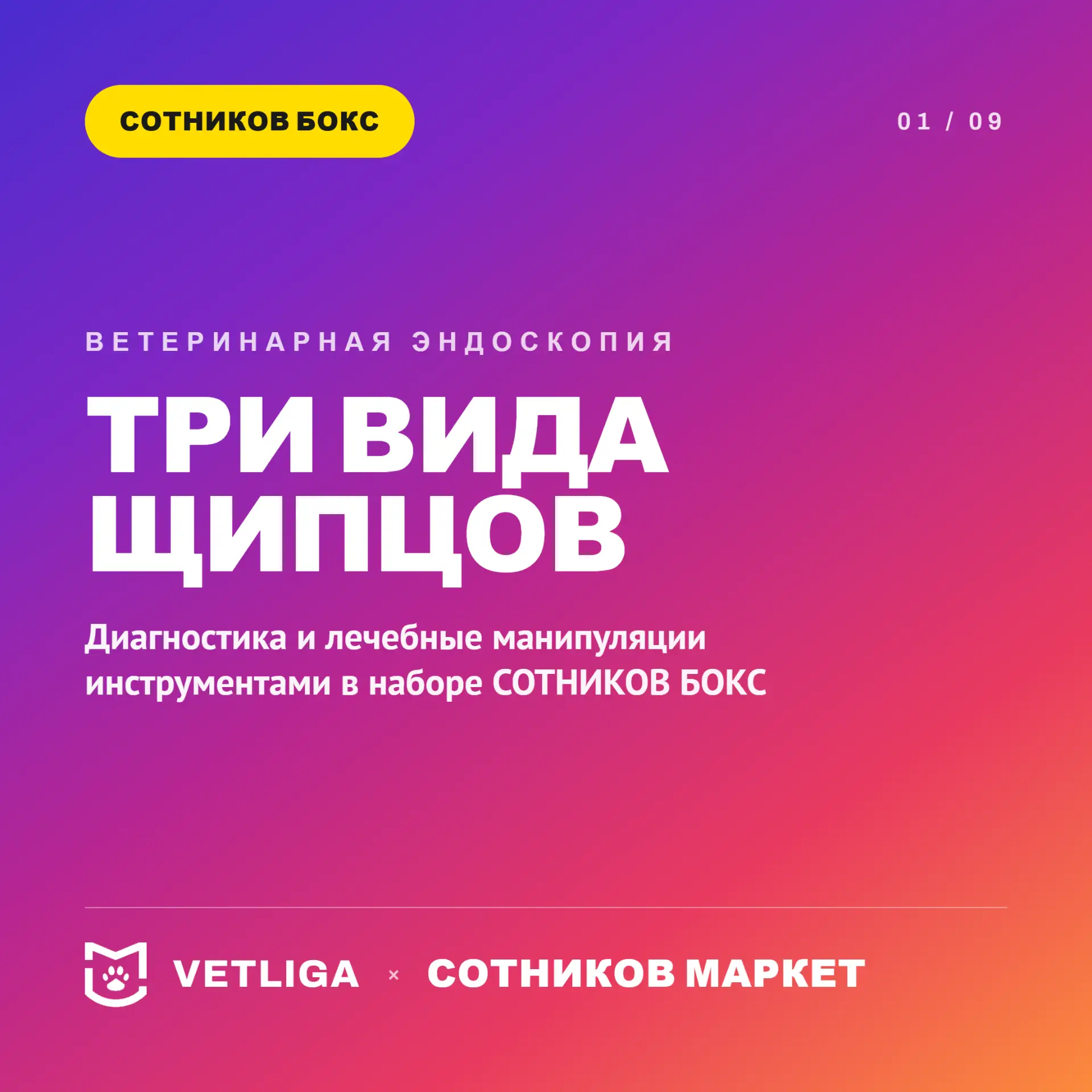 ❗️Три вида щипцов в наборе СОТНИКОВ БОКС