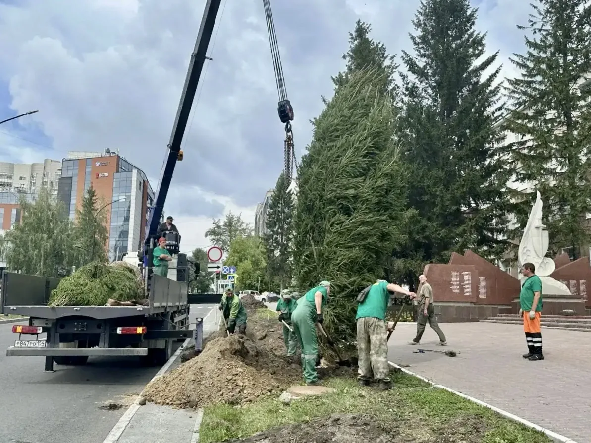 По предложению ГУ МВД по Новосибирской области высаживаем Аллею Памяти героев, павших при исполнении