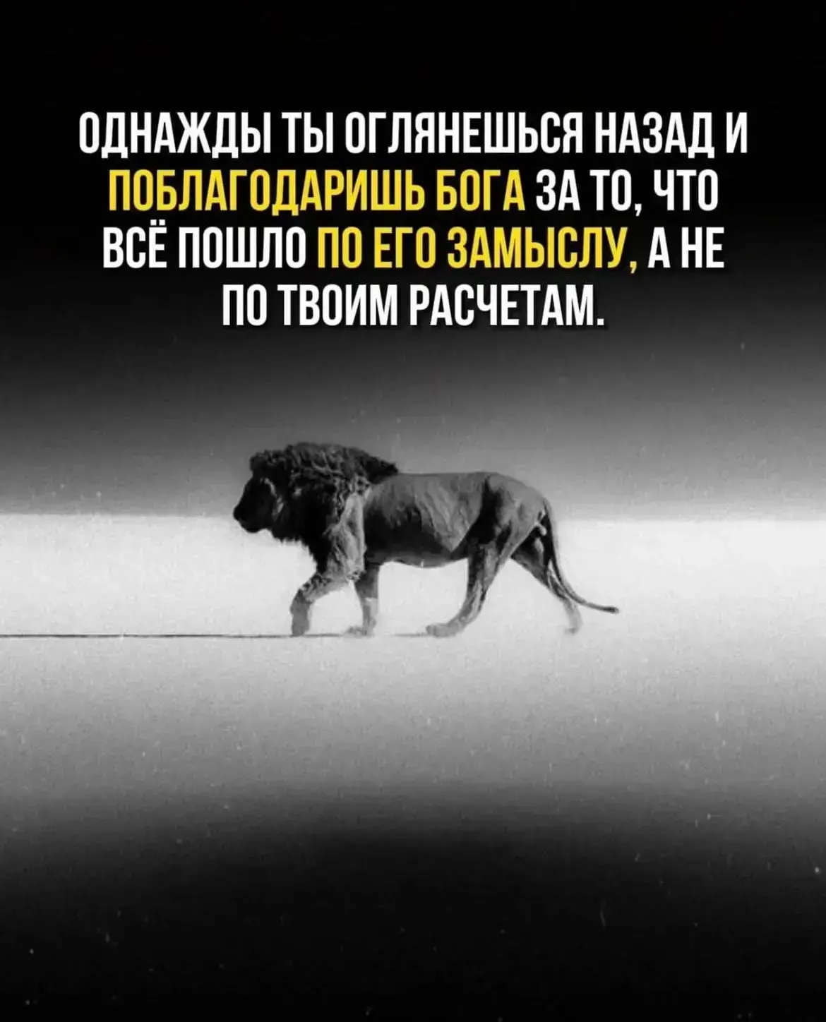 #МотиваторНедели✨