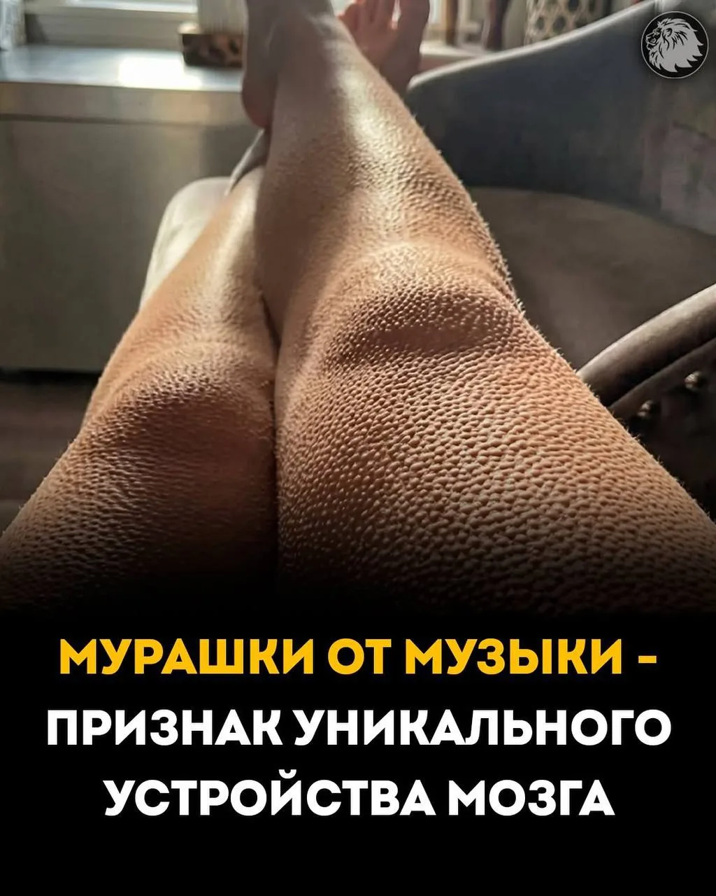 Мурашки от музыки — это не случайность. Это особенность вашего мозга. 🎶🧠