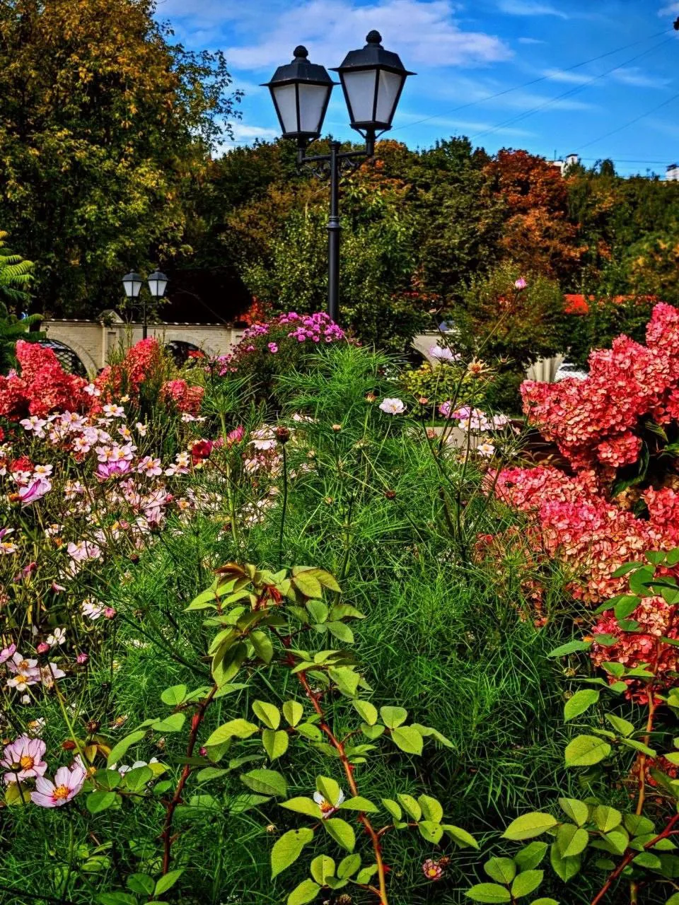 Краски осени в Москве 🍁