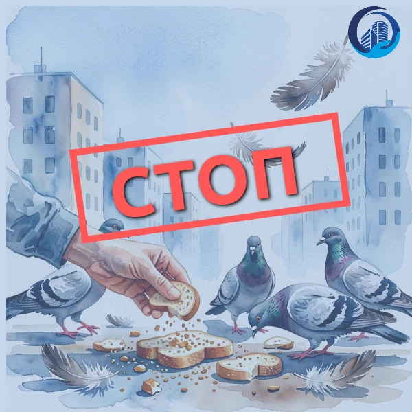 Двор не птичья столовая! ⛔