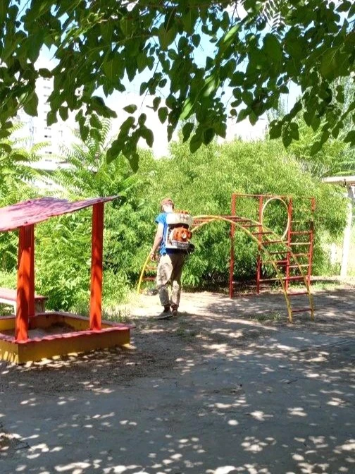 К новости «🛡 Забота о каждом уголке вашего двора! 🌿»