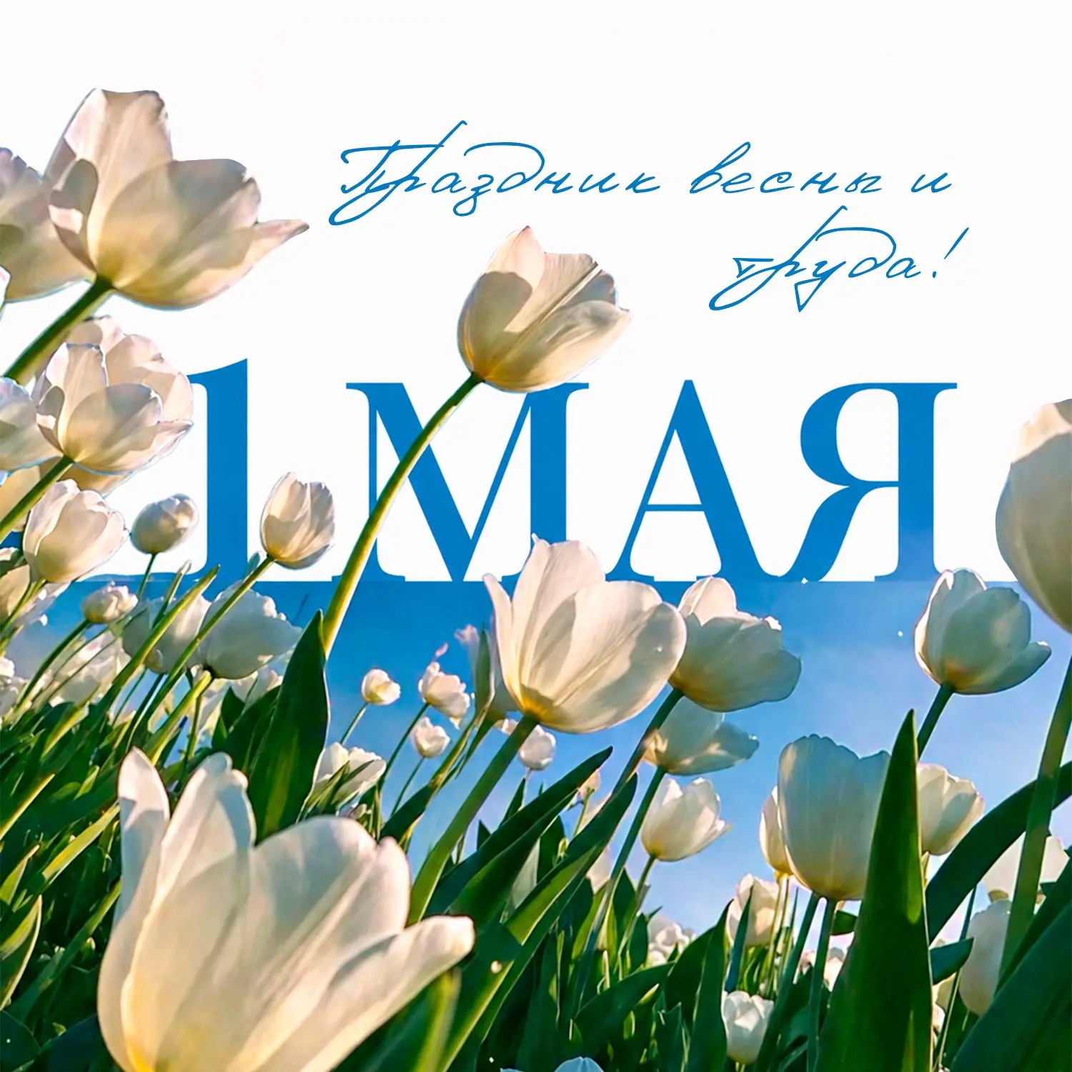 1 МАЯ | ИНСТИТУТ ПРОКУРАТУРЫ