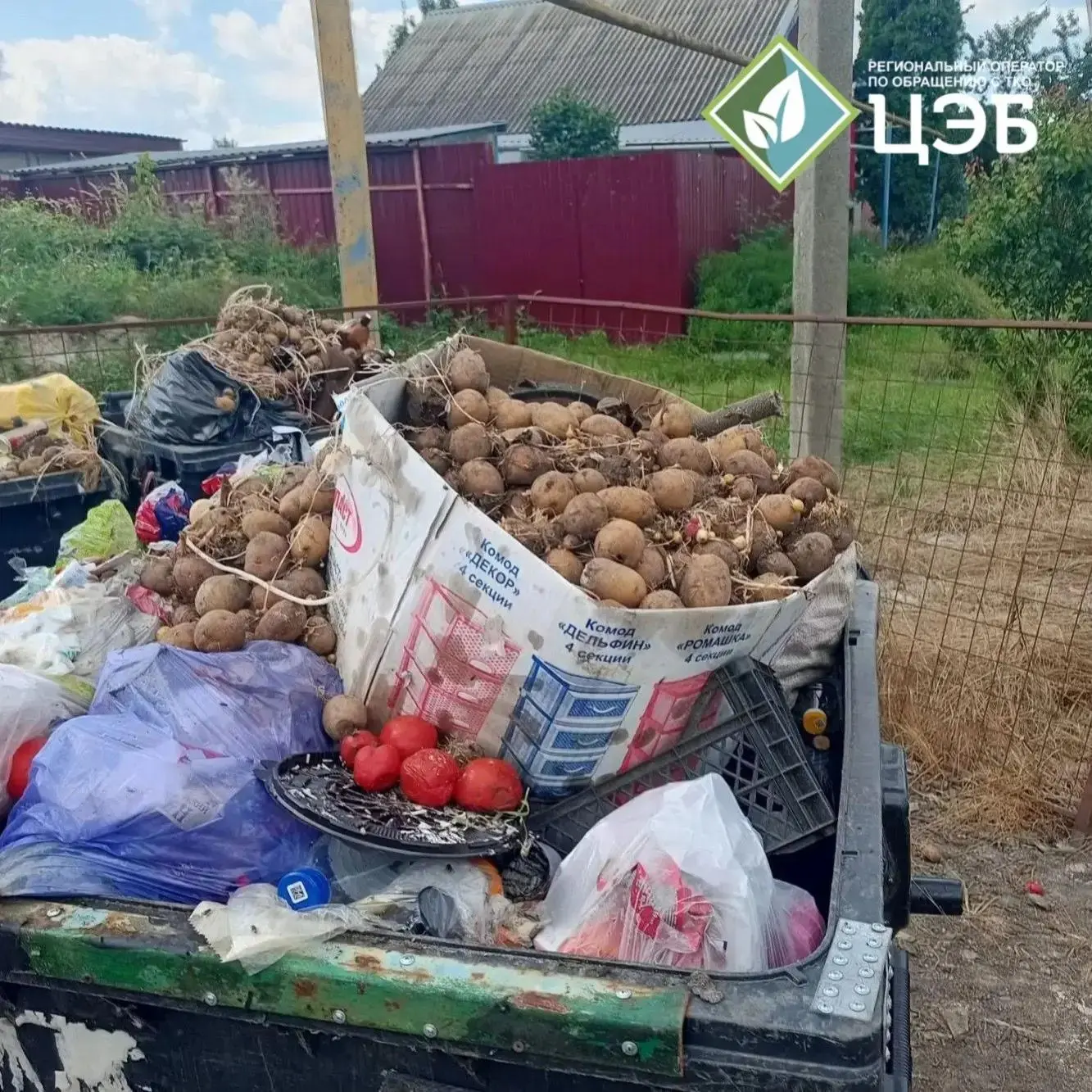 🥔 Растительные отходы — не ТКО: что нельзя выбрасывать в мусорные контейнеры