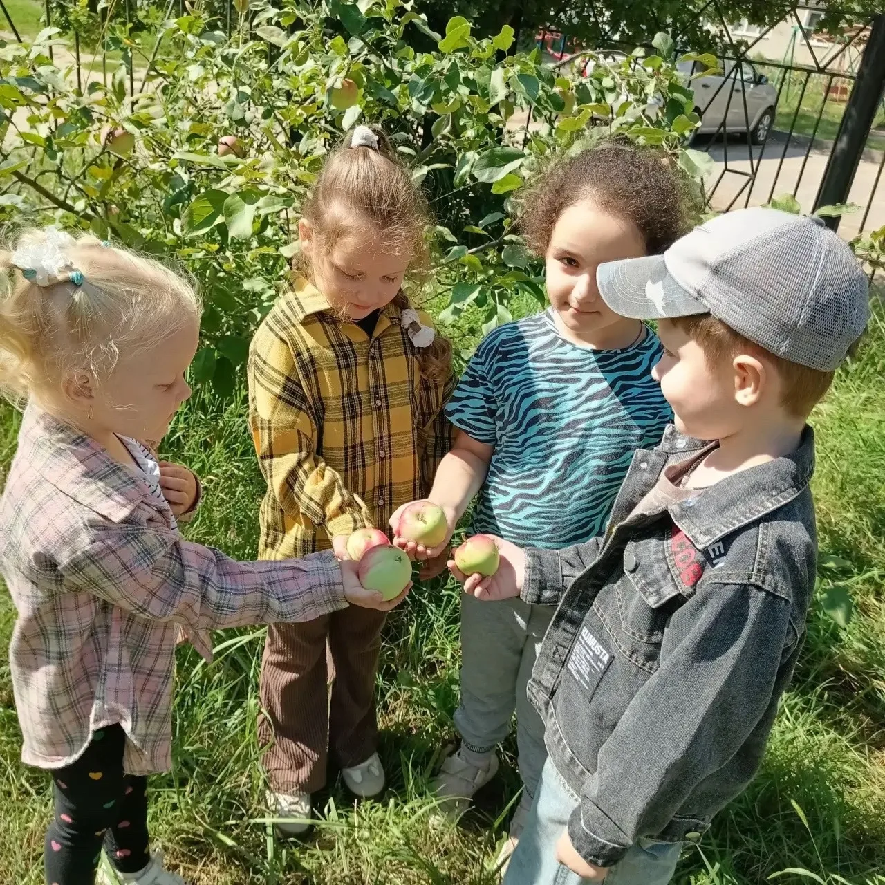 🍎🍏Вот и наступил второй августовский Спас - яблочный. Яблочным этот праздник называет...