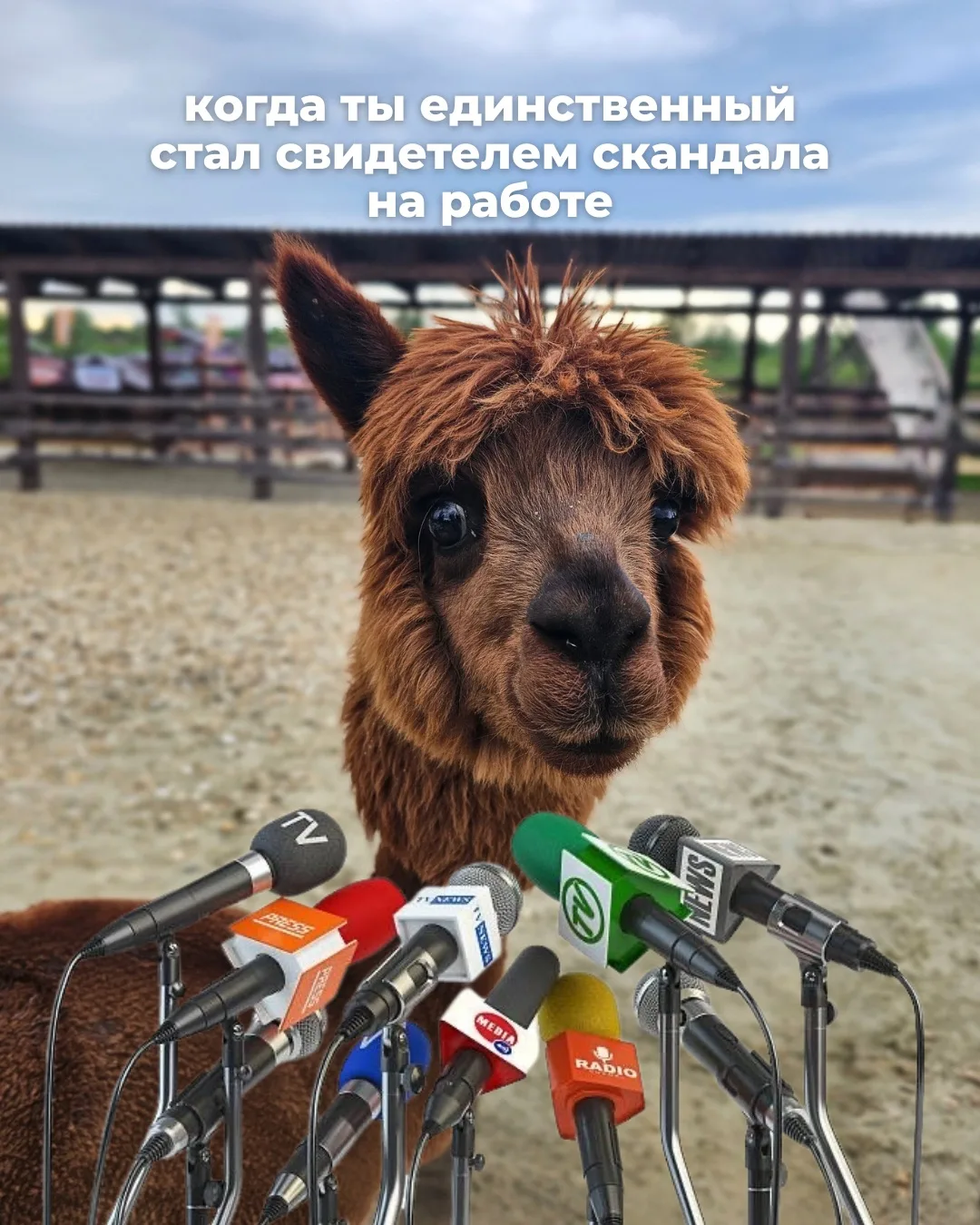 В программе срочный выпуск новостей в рабочем чате 🚨😄

С началом новой рабочей недели, друзья!