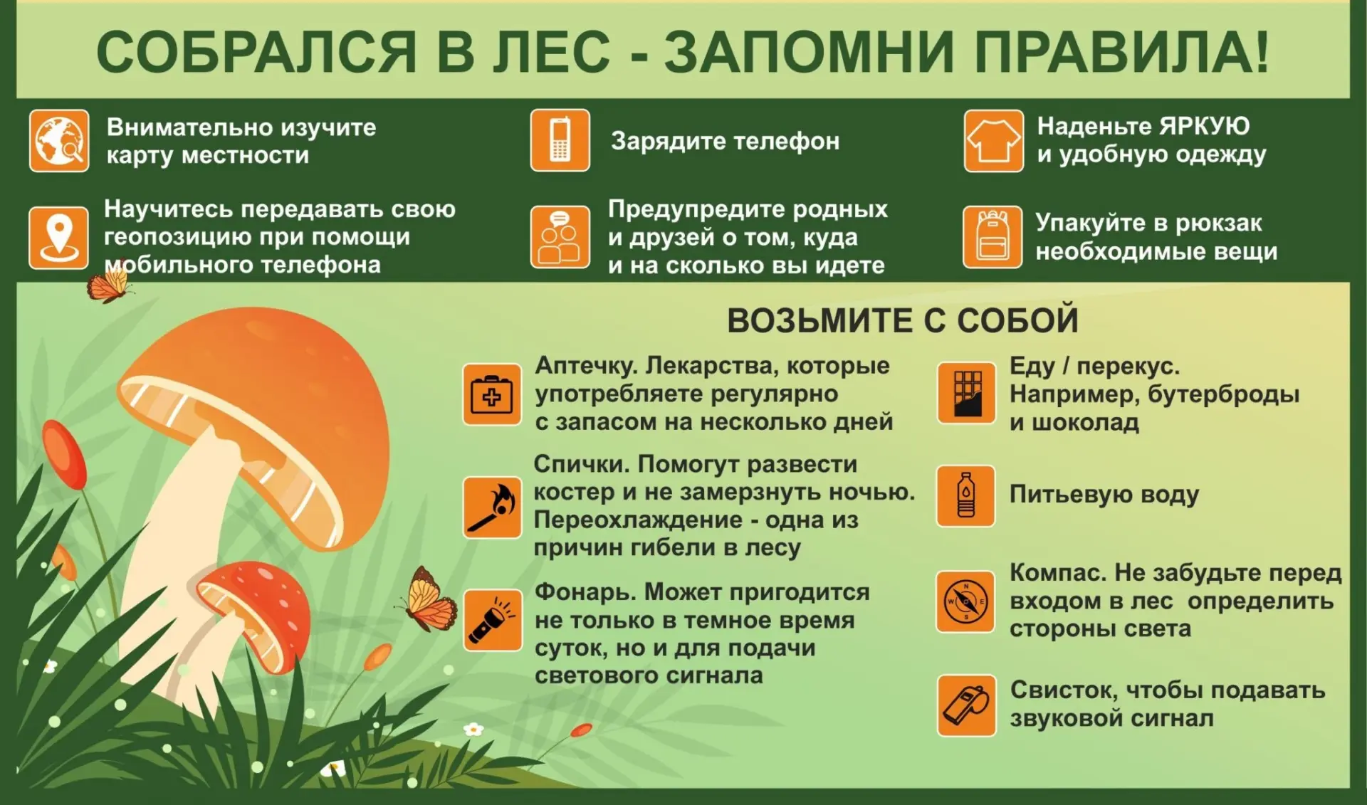 🍄Уважаемые подписчики, наступает грибная пора, мы собрали для вас короткую и практичну...