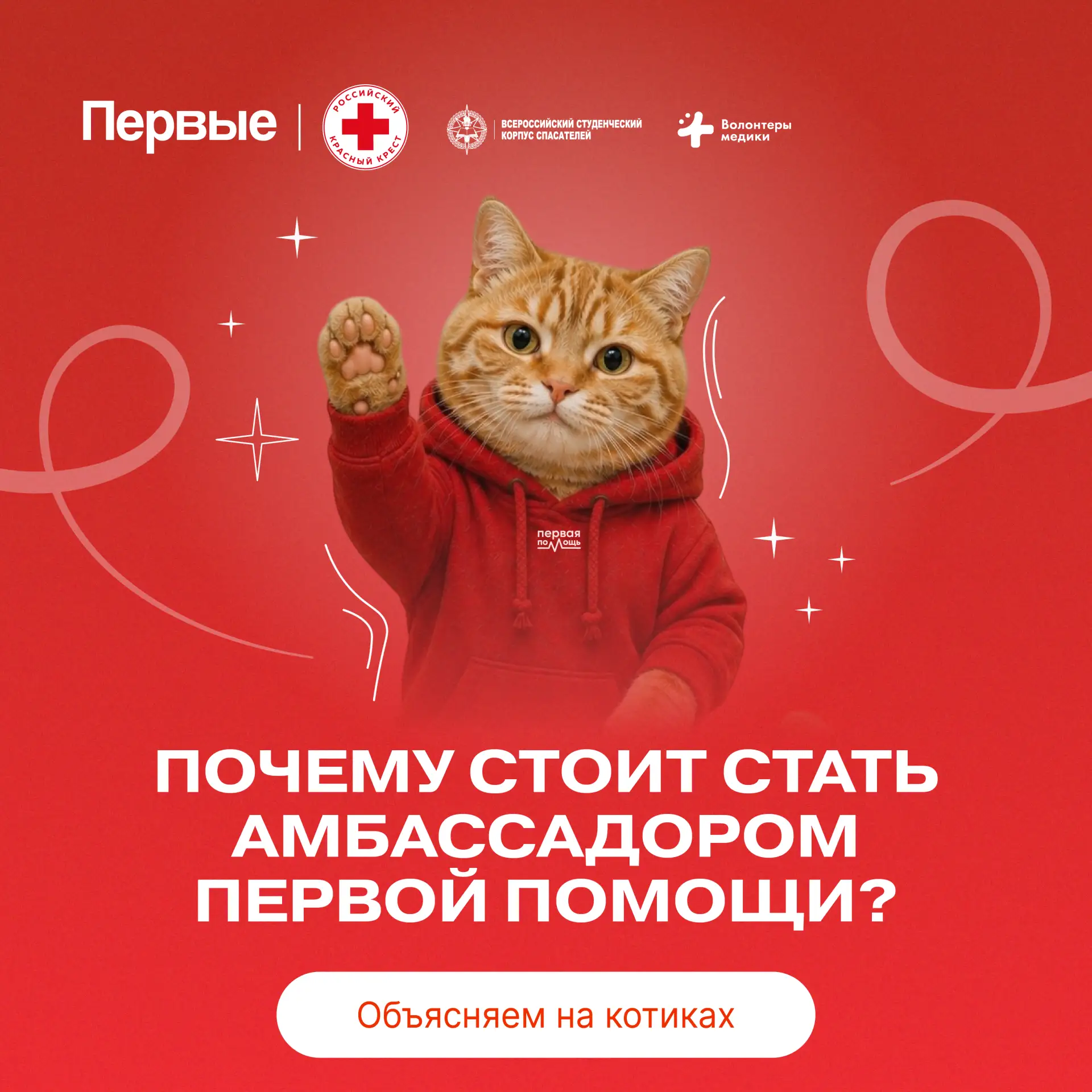🐾 После проекта «Первые — амбассадоры Первой помощи» ты точно не скажешь, что у тебя лапки!  Решили 