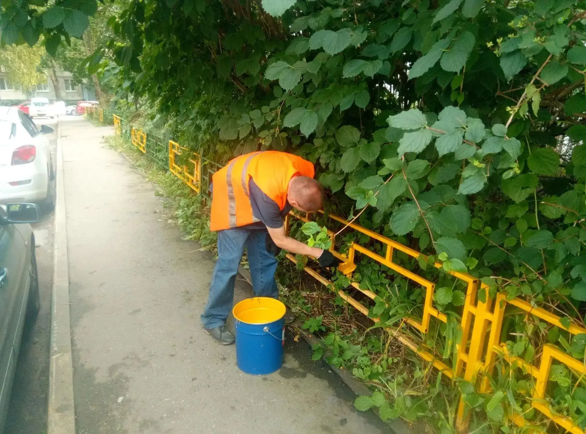 🌿 Продолжаем заботиться и украшать придомовые территории!