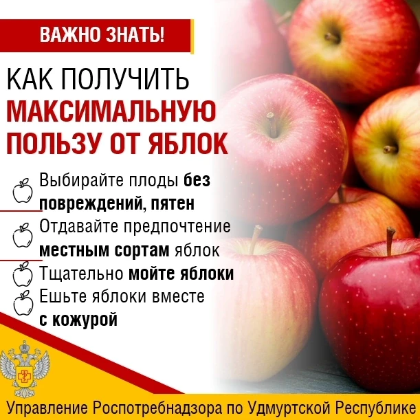 🍏Яблоки любят и взрослые, и дети, это отличный перекус и полезный десерт. Но как фрукт...