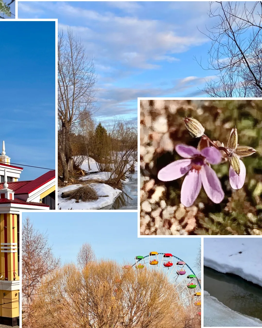 Эта весна такая... непостоянная ❤️  ➦ СибГИУ в  MAX