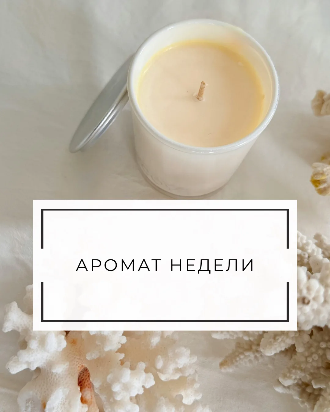 АРОМАТ НЕДЕЛИ

Он не пахнет цветами. Не пахнет фруктами. Не пахнет десертами.
Он вообще не пытается 