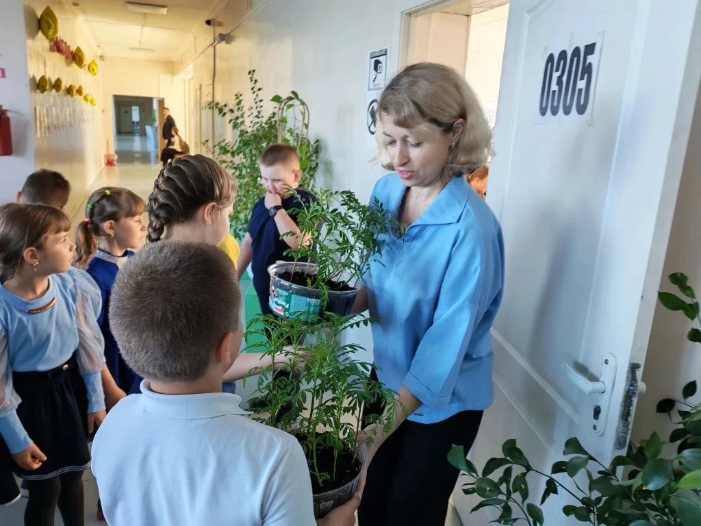 Цветы для школьного двора