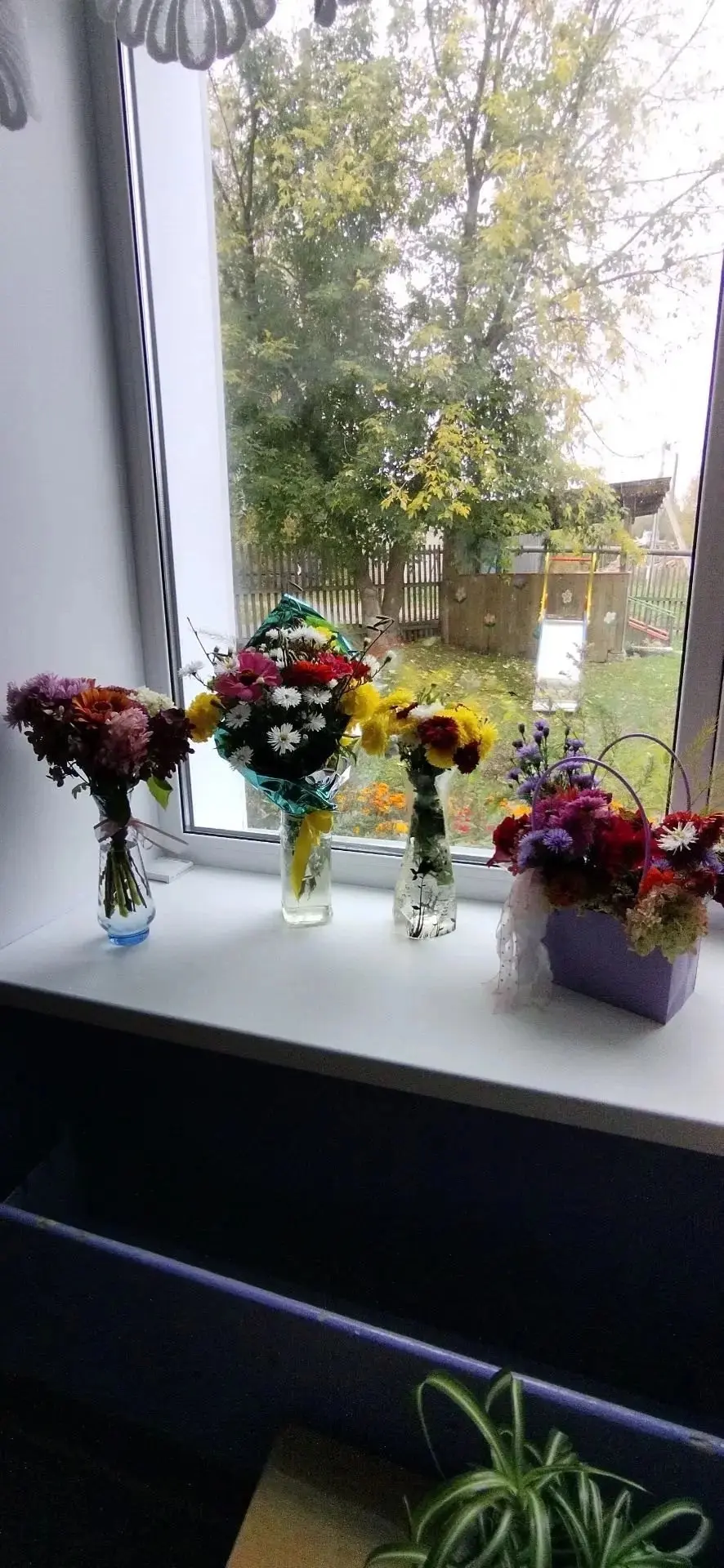 🍁🍁🍂🍂 Каждое время года красиво по-своему, осень нам нравится яркостью цвета, буйств...