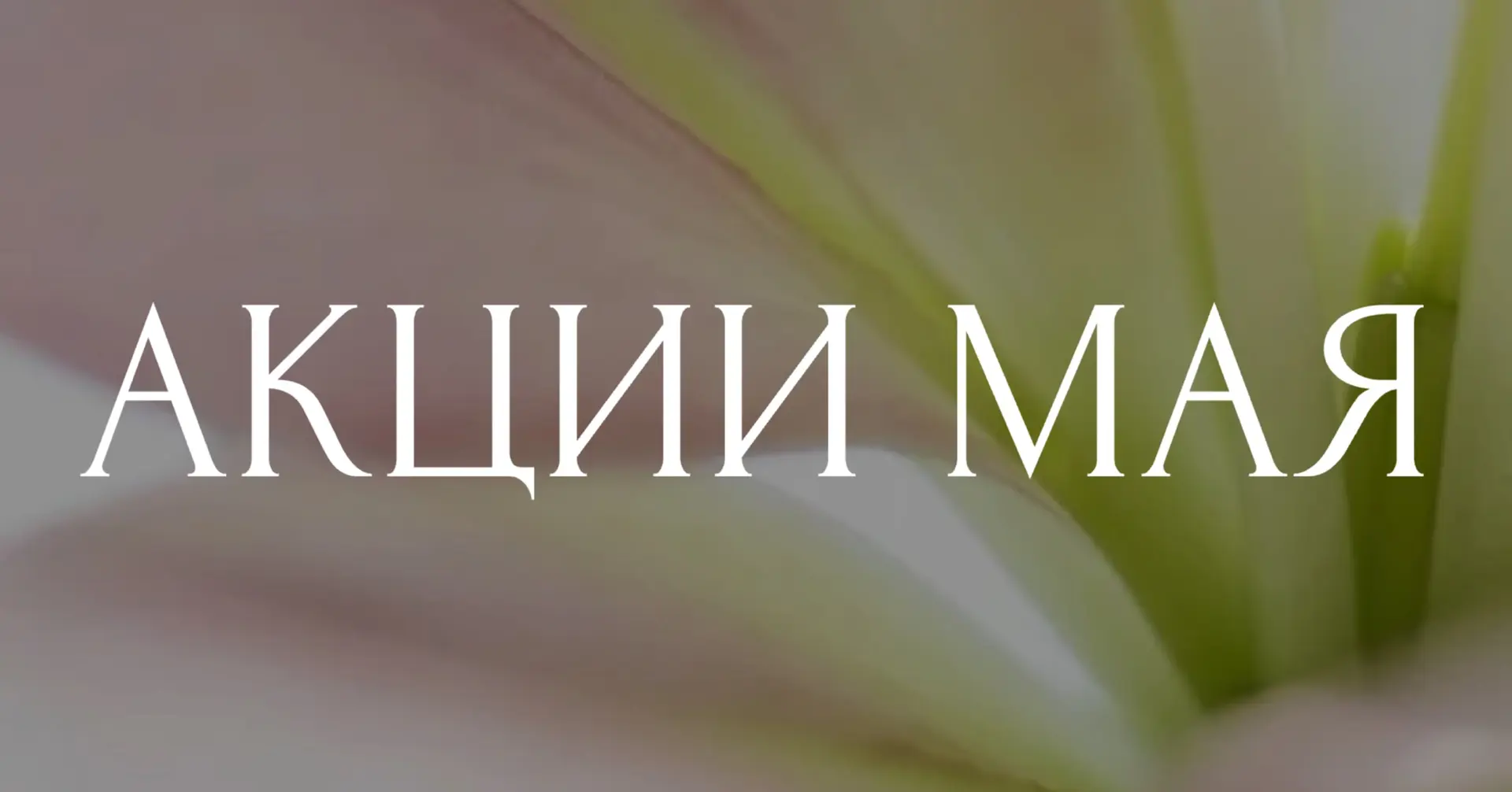 АКЦИИ МАЯ И НОВОВВЕДЕНИЯ 🤍