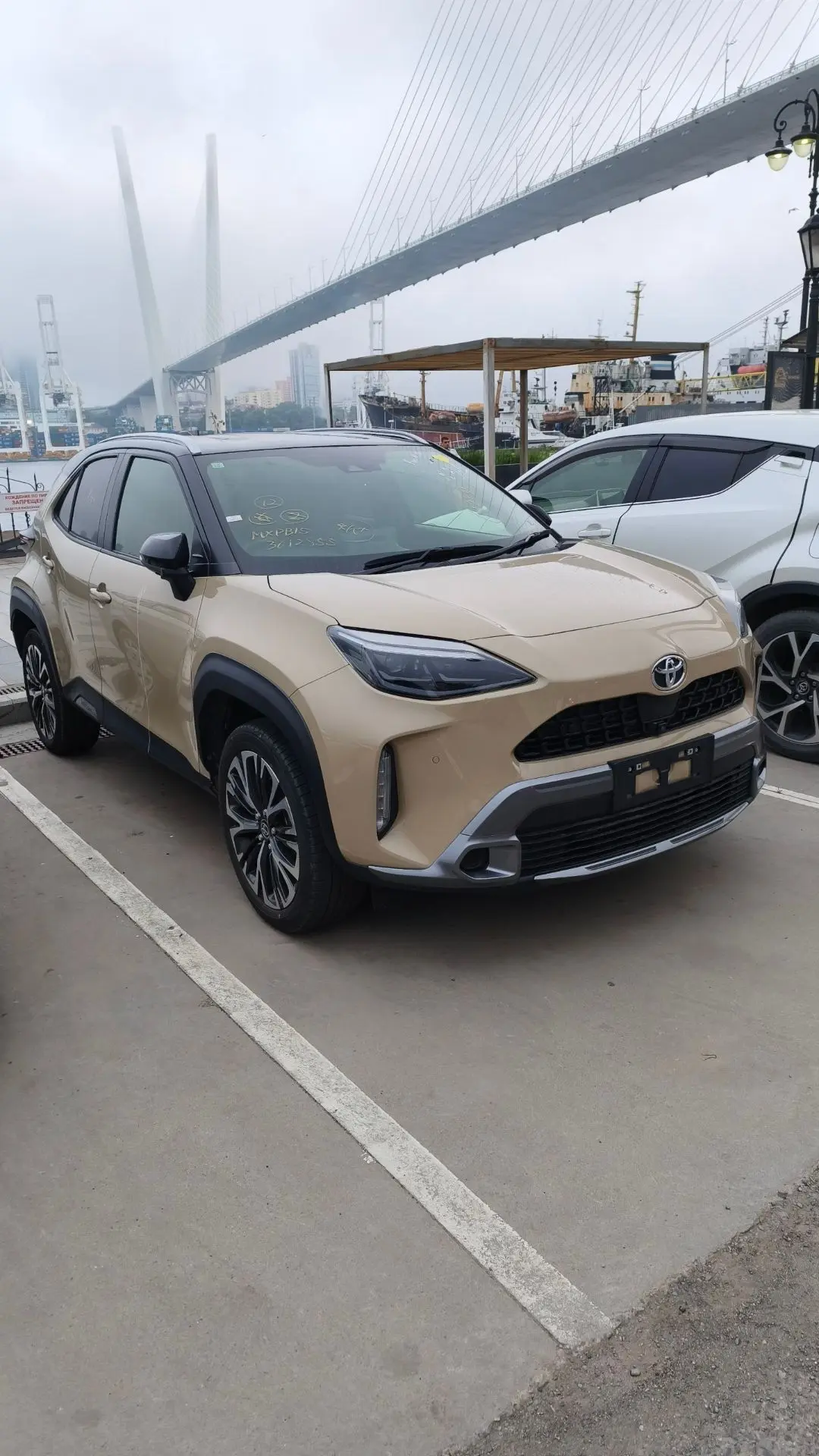 Есть кто совмещает отпуск и покупку машины 🚗
