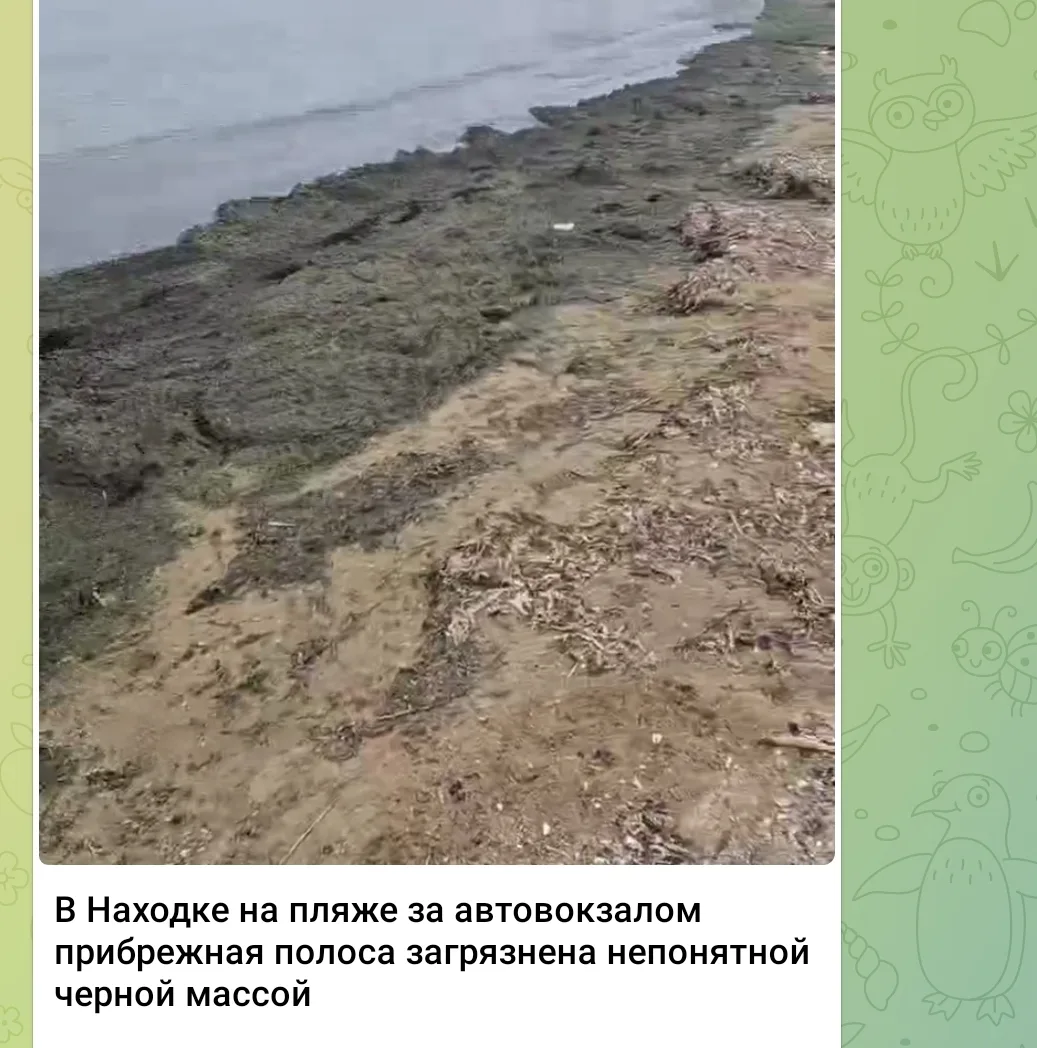 Владивостокской межрайонной природоохранной прокуратурой организована проверка по информации о загря