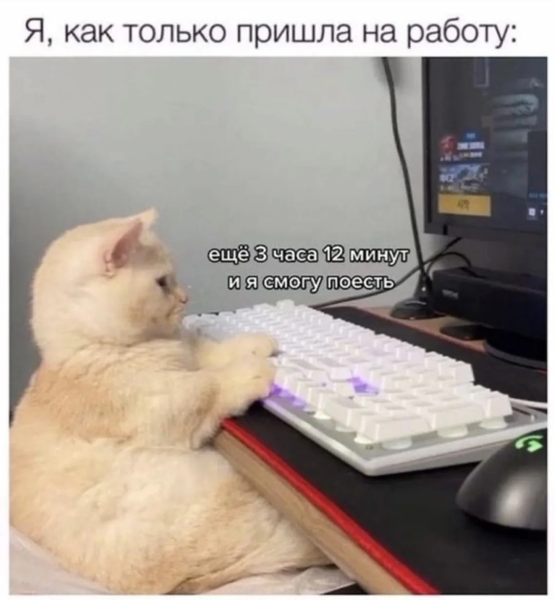 Жиза или нет? Доброе утро☀️