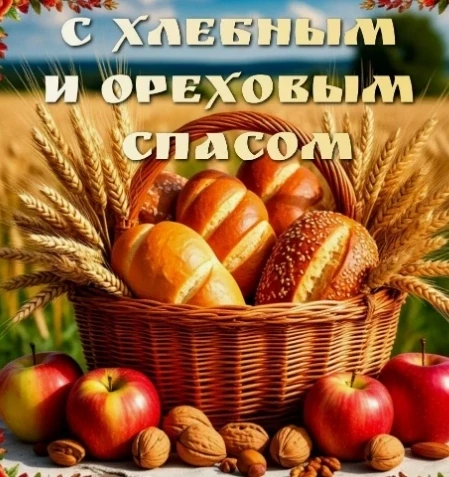🍞 Дорогие друзья!