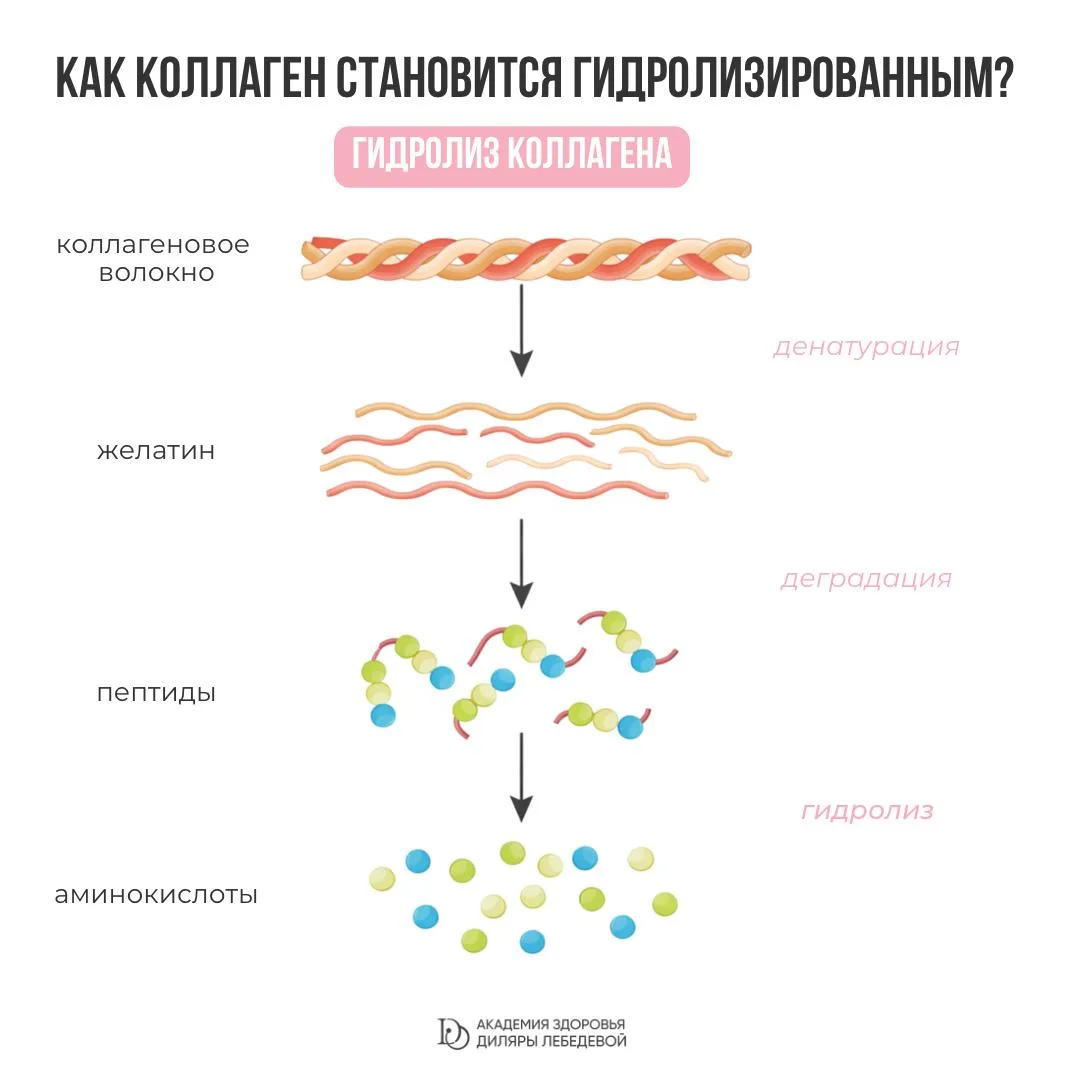 ПОЧЕМУ КРЕМ С КОЛЛАГЕНОМ — ПУСТАЯ ТРАТА ДЕНЕГ?  Купили красивую баночку крема с надписью collagen, с