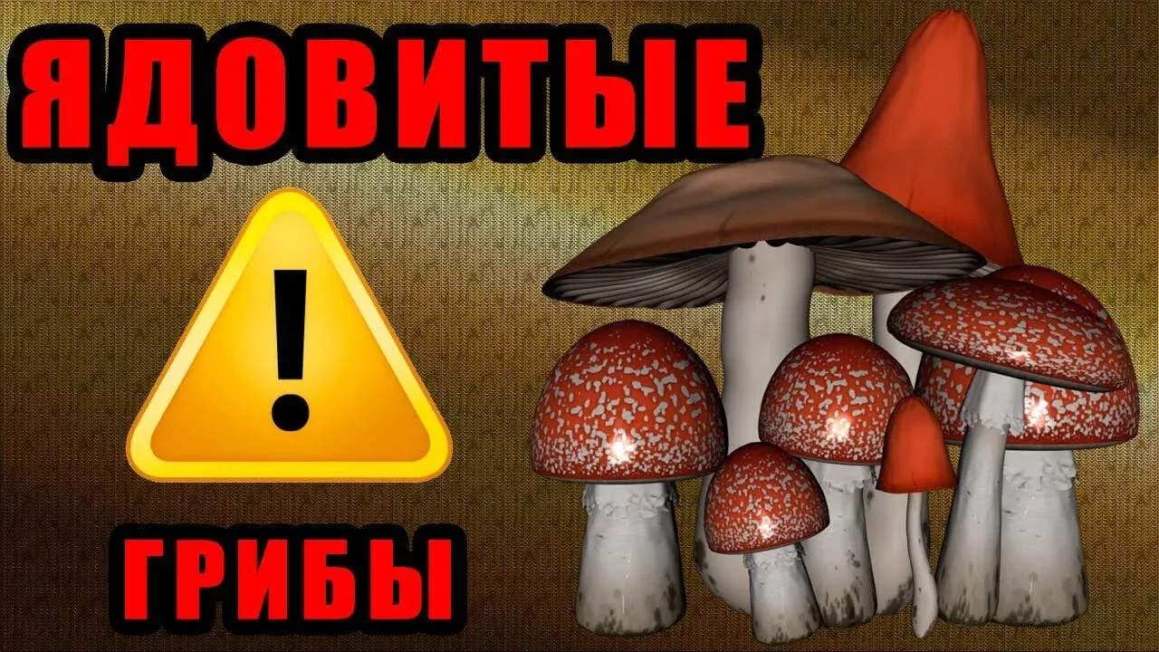 ❗️Прокуратура информирует❗️
Памятка для несовершеннолетних и их родителей!