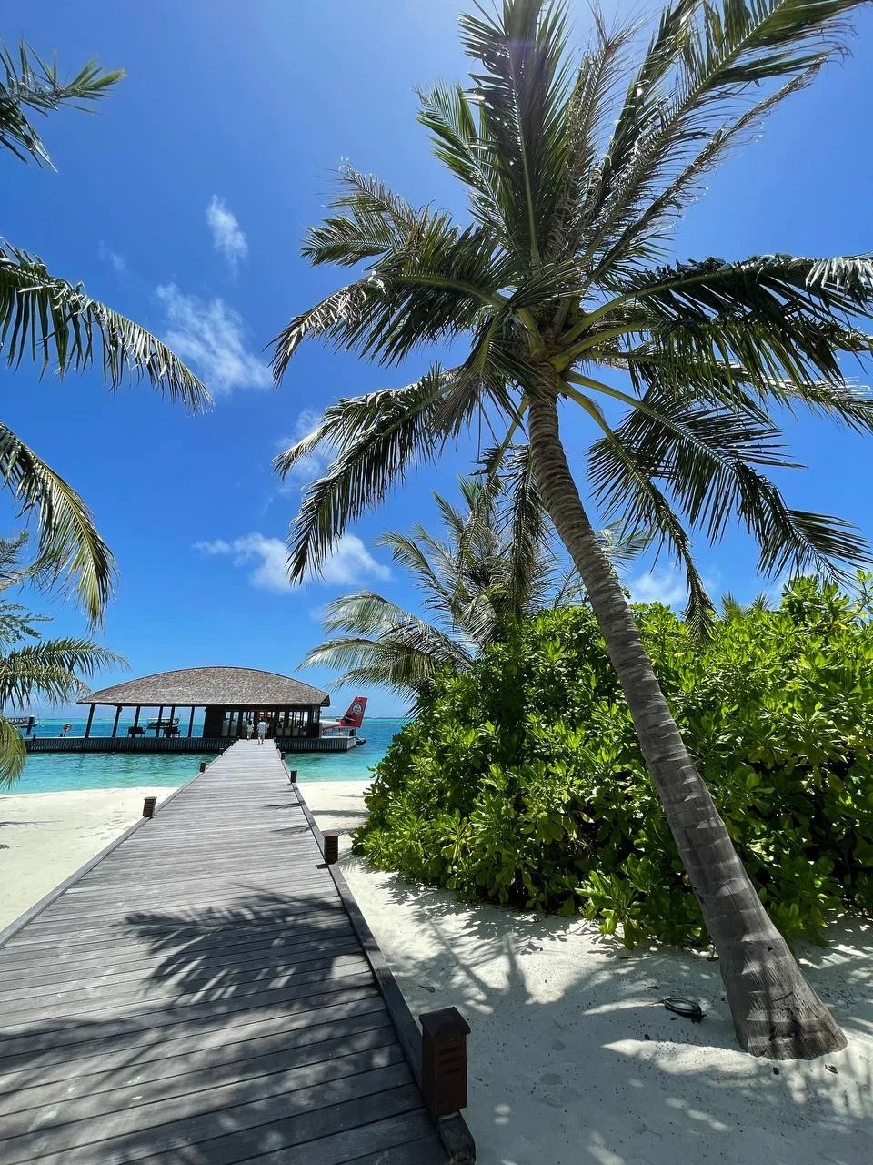 10 ДНЕЙ НА ОСТРОВАХ МЕЧТЫ 🔥

✈️ тур из Москвы 13.08
10 ночей
2 взрослых 

MEERU ISLAND RESORT 4*
💳